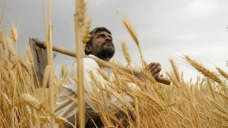 किसानों की कर्जमाफ़ी के नुकसान; मध्य प्रदेश में कृषि संबंधित एनपीए 24 प्रतिशत बढ़ा
