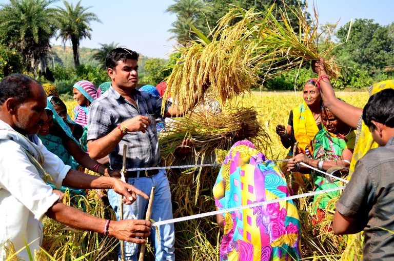 आजीविका में विविधता के जरिए तेज़ी से घट रही है गरीबी : ब्रूकिंग्‍स इंस्‍टीट्यूशन की रिपोर्ट