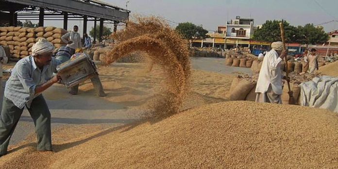 भारतीय किसान
