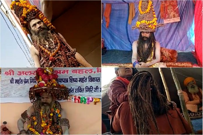 जटाओं के साथ साधु