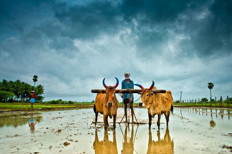 बजट 2019: किसानों की आय बढ़ाने को प्रतिबद्ध मोदी सरकार, दे सकती है ये सौगात
