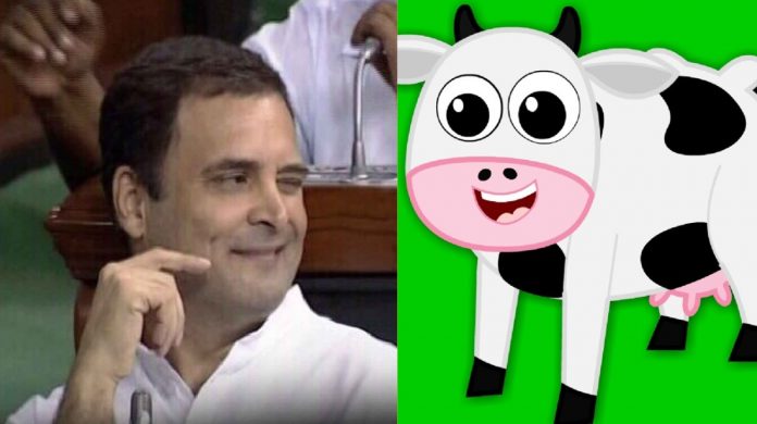 2019 अंतरिम बजट