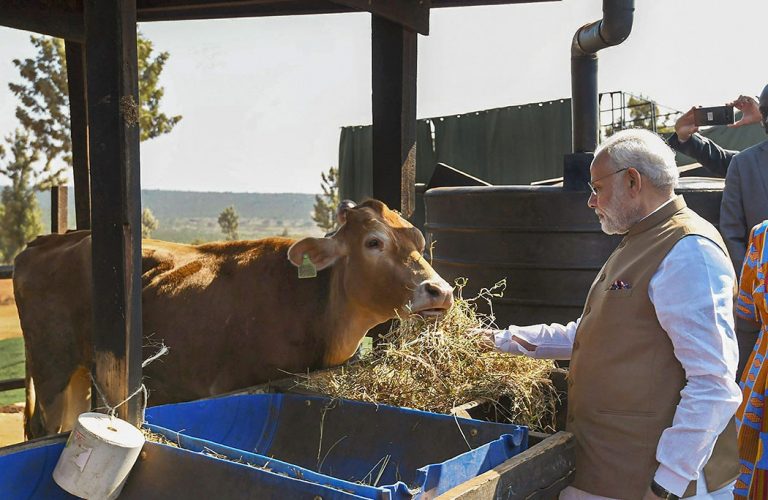 ‘गौमाता के सम्मान से कभी पीछे नहीं हटेगी सरकार’- अमित शाह ने किया सरकार का अभिनंदन
