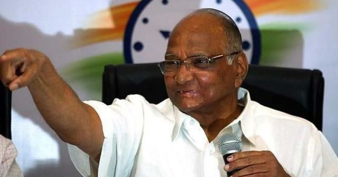 शरद पवार, एनसीपी अध्यक्ष