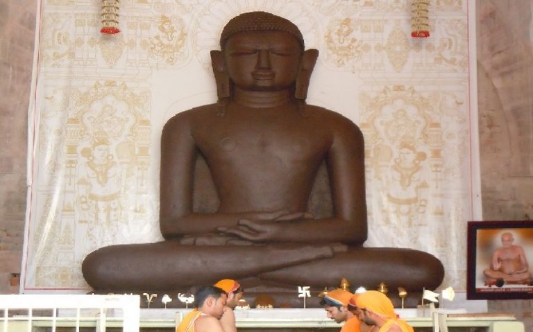 हम 2, हमारे 3: जैन समुदाय जनसंख्या वृद्धि वाले संकल्प की पड़ताल