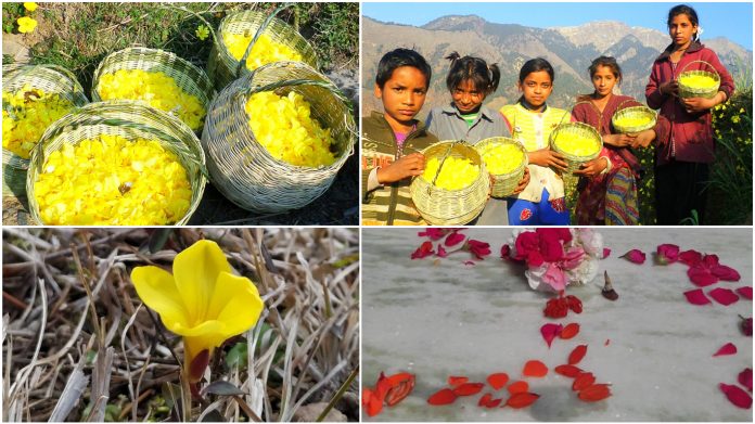 फूलदेई त्यौहार