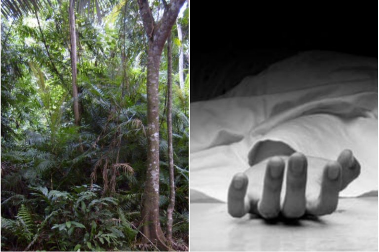 भीलवाड़ा के जंगल में मिला मज़दूर का अधजला शव, पुलिस ने बताई आत्महत्या लेकिन परिवार को शक!