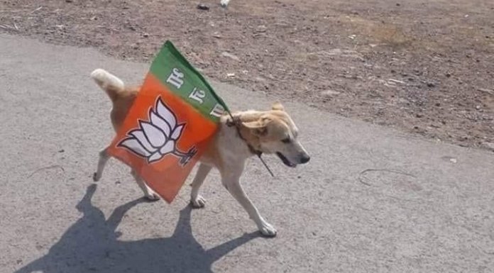 कुत्ता कर रहा था BJP का प्रचार, पुलिस ने किया अरेस्ट: मालिक के खिलाफ FIR दर्ज