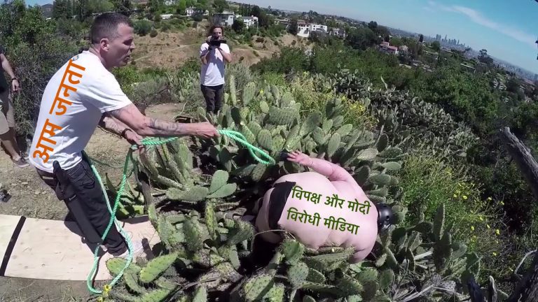 लिबरलों का घमंड, ‘मैं ही सही हूँ, जनता मूर्ख है’ पर जनता का कैक्टस से हमला  (भाग 4)