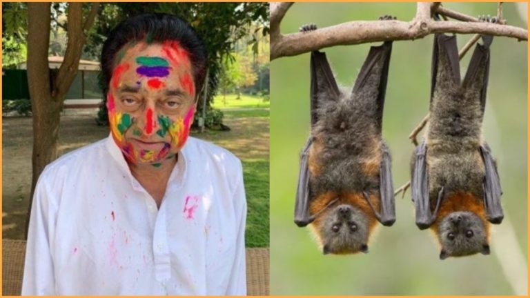 ‘चमगादड़ काटते हैं बिजली’: गोभक्त कमलनाथ के अफसरों ने ढूँढ निकाले बिजली कटौती के मुख्य अभियुक्त