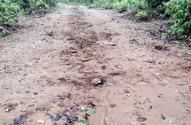 नक्सलियों ने जवानों को मारने का बनाया था प्लान, ‘आसमानी बिजली’ ने किया फेल