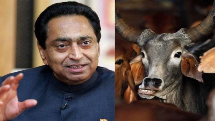 100 हाईटेक गोशाला