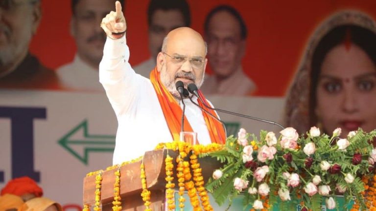 साल के अंत तक अमित शाह ही रहेंगे BJP अध्यक्ष, ये है वजह
