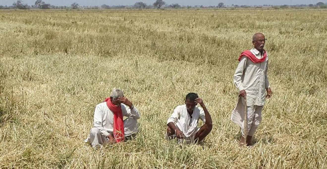 किसान, घोटाला