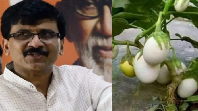 संजय राउत