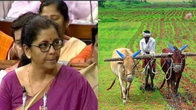 बजट 2019: Zero Budget Farming से बदलेगी देश के किसानों की तस्वीर, दोगुनी होगी आय
