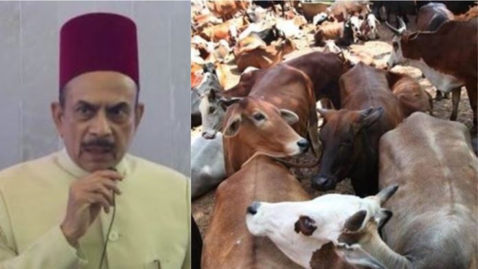 महमूद अली