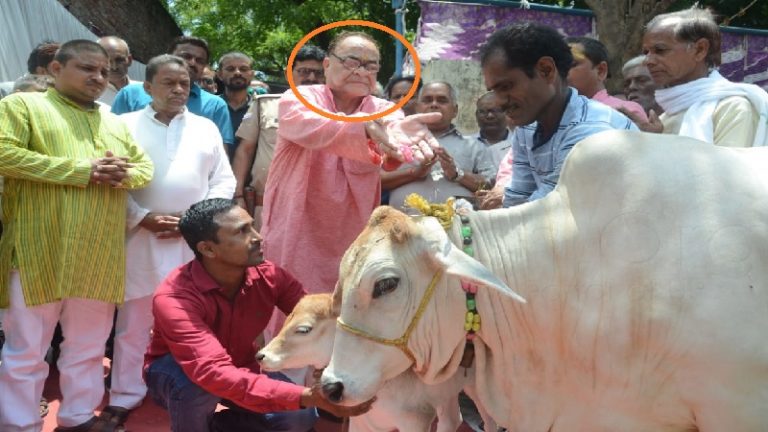 गायों को राखी बाँधेंगे अवध के नवाबों के वंशज, कहा- ‘यह गोहत्या के ख़िलाफ़ अभियान’