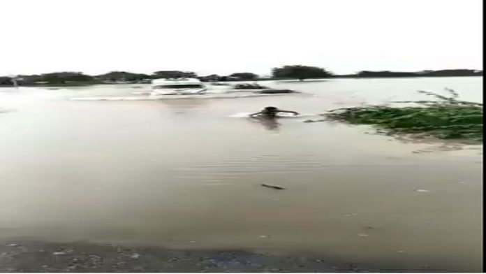 वीडियो वायरल