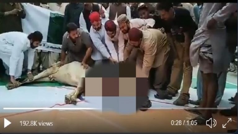 तिरंगे पर गाय को काटा: इमाम ने कहा ये जगह पूरी धरती पर धब्बा