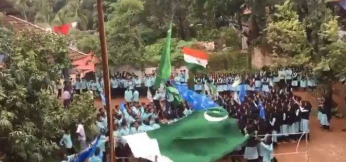 पाकिस्तान का झंडा