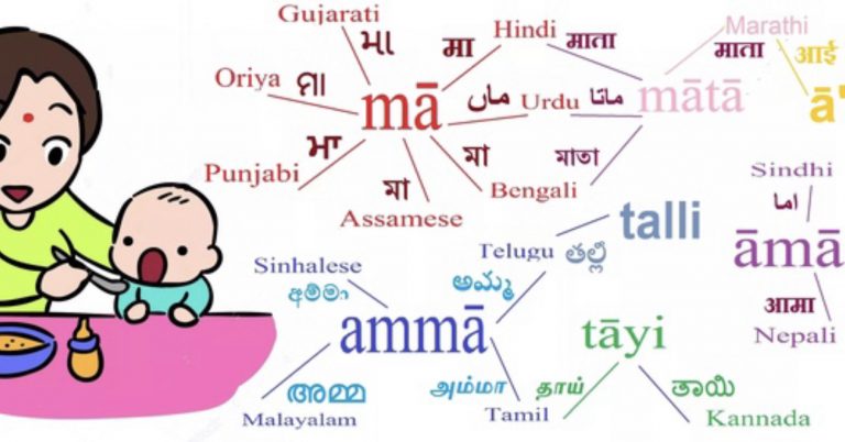 हिन्दीभाषियों का घमंड और कुतर्क बनाम हिन्दी से घृणा करने वाले कूढ़मगज