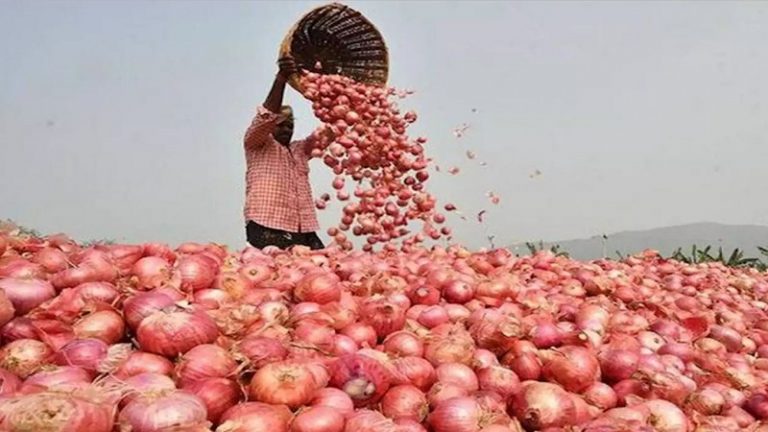अब नहीं रुलाएगा प्याज: निर्यात पर रोक, केंद्र ने राज्यों से कहा- जितनी जरूरत हो ले जाएँ