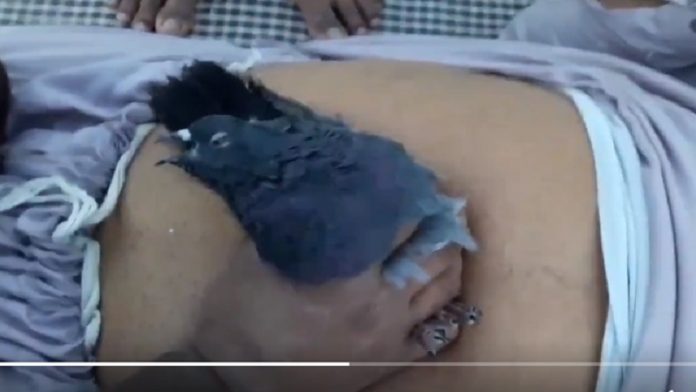 पाकिस्तान और विज्ञान