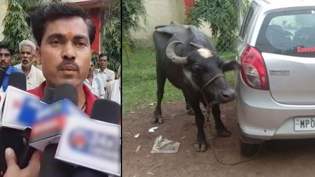 सिरोंज किसान-मध्य प्रदेश