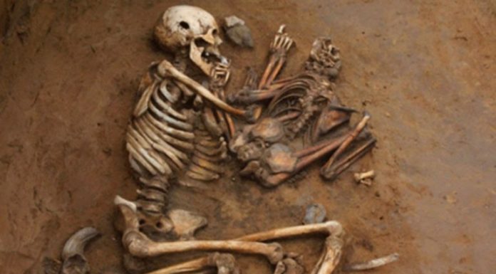 आर्य कहीं बाहर से नहीं आए थे: राखीगढ़ी DNA स्टडी से इतिहास का सबसे बड़ा खुलासा