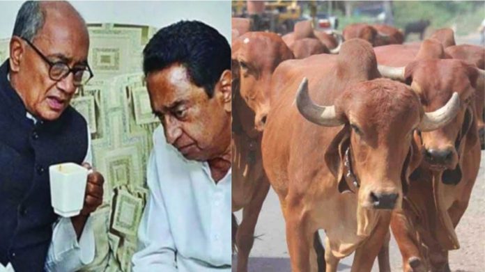 दिग्विजय सिंह, कमलनाथ