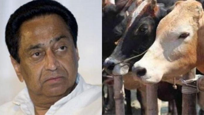 कमलनाथ