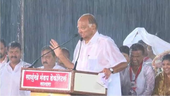 शरद पवार
