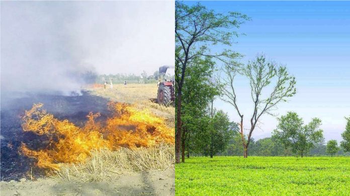 वायु प्रदूषण, पंजाब-हरियाणा-बिहार