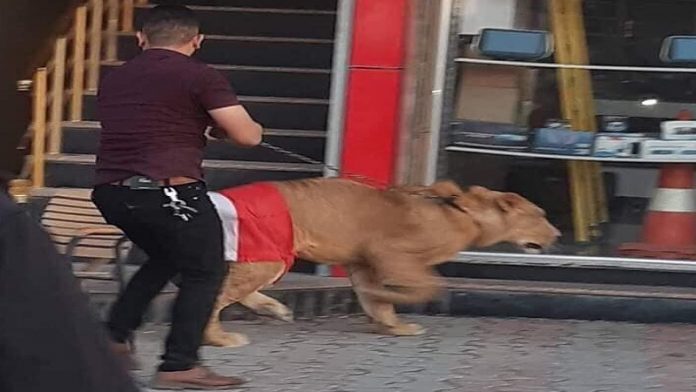 इराक विरोध प्रदर्शन