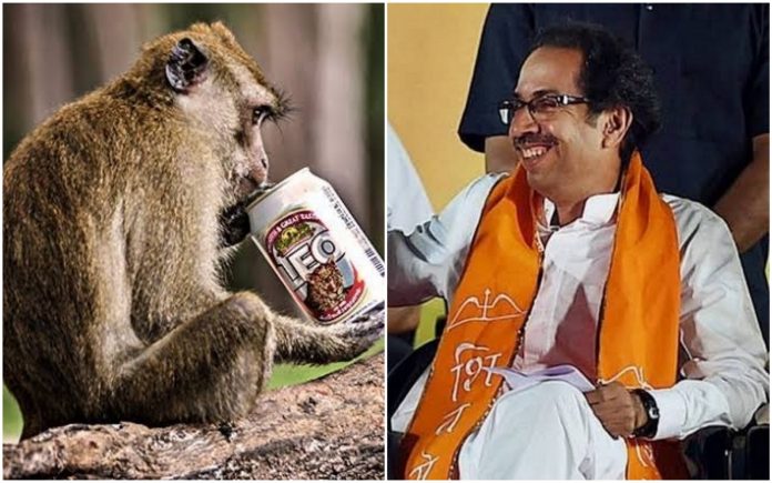 उद्धव ठाकरे