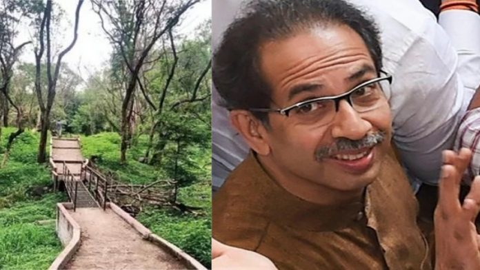 उद्धव ठाकरे, आरे जंगल