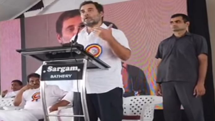राहुल गाँधी, वायनाड