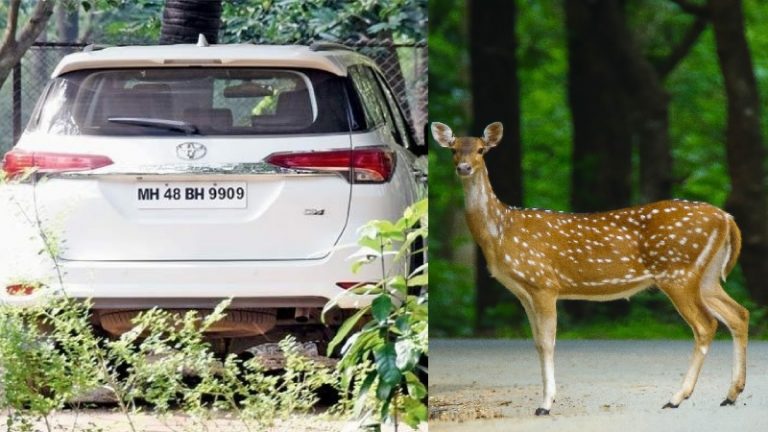 शिवसेना MP की गाड़ी से कुचल कर मारा गया हिरण, AAREY जंगल पर पर्यावरण बचाने का दावा कर रही है पार्टी