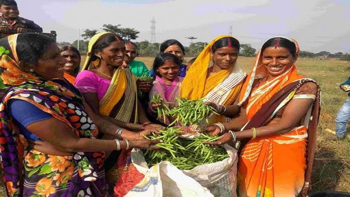 महिला किसान, सरकारी योजना