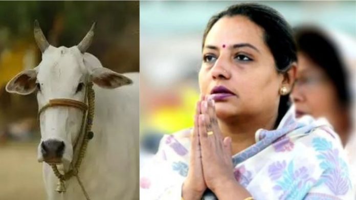 महाराष्ट्र, यशोमति ठाकुर