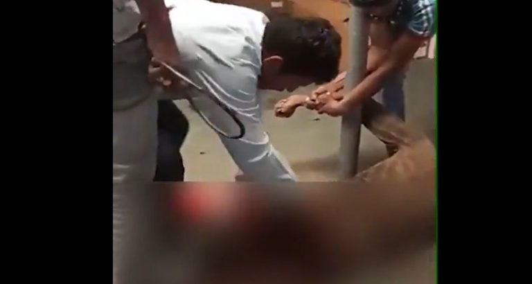 राजस्थान में दलित के साथ हैवानियत: प्राइवेट पार्ट्स में पेट्रोल, स्क्रू डाइवर भी घुसाया – रोंगटे खड़े करने वाला Video