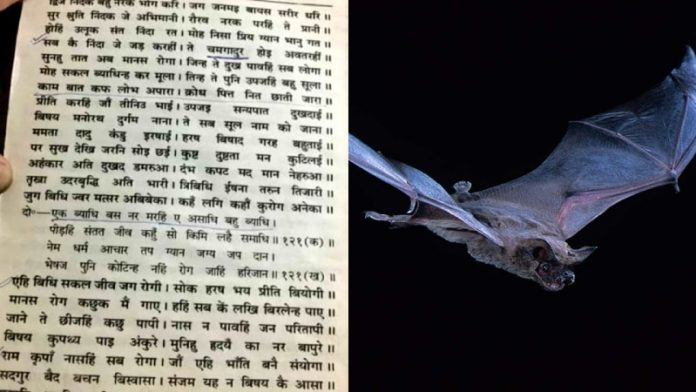 रामचरित मानस, चमगादड़