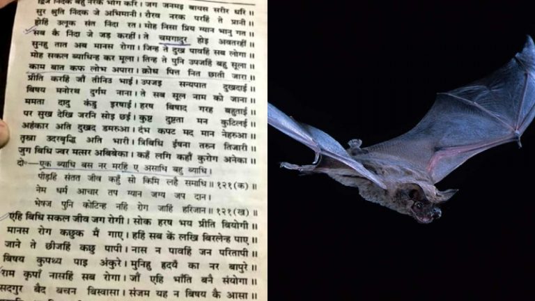 खग ही जाने खग की भाषा: रामचरित मानस के बहाने कोरोना और चमगादड़ वाली धूर्तता के पीछे का सच