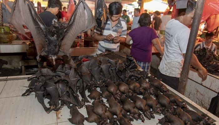 चीन: कच्चे साँप और कच्चे समुद्री खाद्य पदार्थ खाने वाले आदमी के फेफड़े कीड़े से भरे हुए मिले