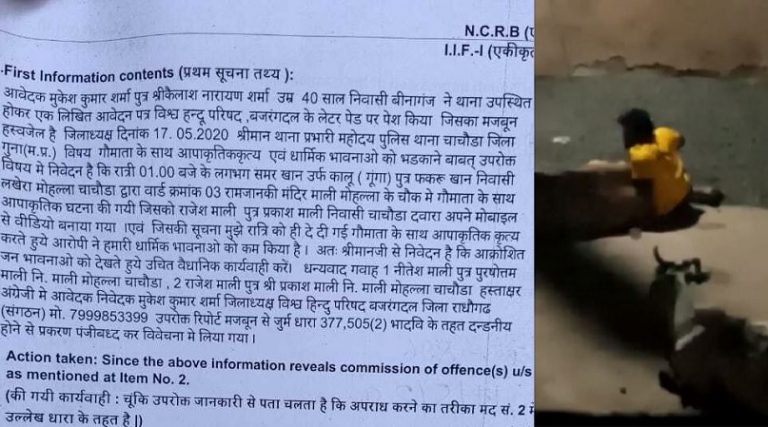 गाय के साथ समर खान रात 1 बजे कर रहा था रेप, FIR दर्ज: मोबाइल से लिया गया वीडियो वायरल