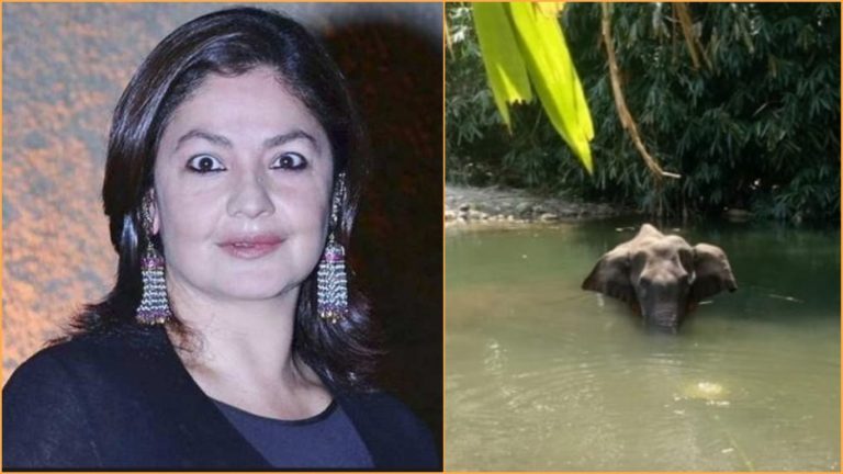 पूजा भट्ट ने 70% मुस्लिमों की आबादी के बीच गणेश को पूजने वालों को गर्भवती हथनी की हत्या का जिम्मेदार बताया है