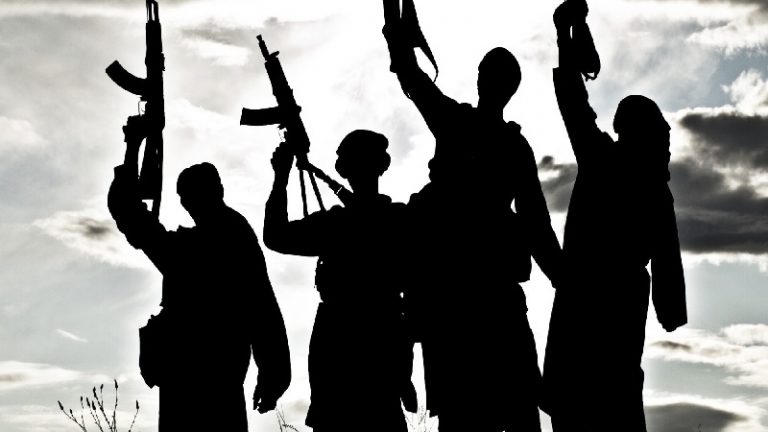 ट्रक पर सवार होकर J&K से दिल्ली के लिए निकले आतंकी: कई राज्यों में है अलर्ट, सघन तलाशी शुरू