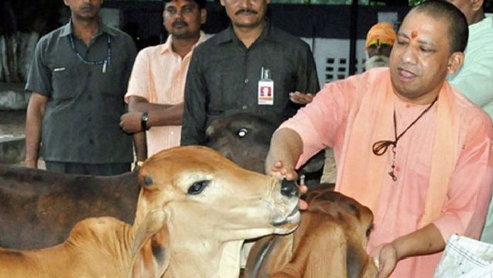 उत्तर प्रदेश योगी गोहत्या