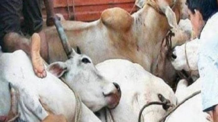 गोहत्या के खिलाफ बिल पारित
